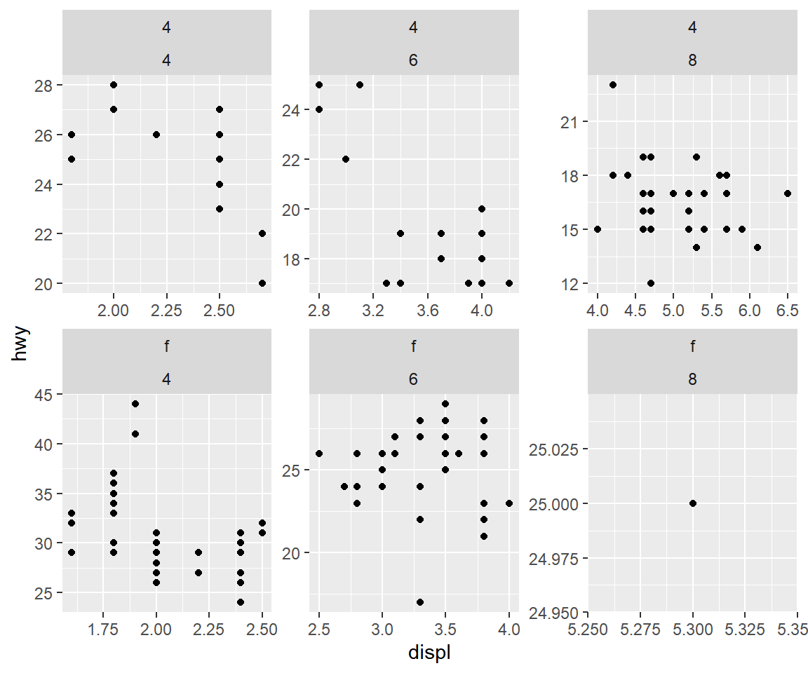 함수 `facet_wrap()`에 의한 두 변수의 faceting